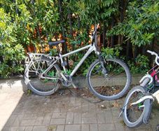Bicycle for Parts