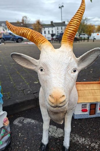 Big Christmas Price Drop for Religious Statues And Our Animal Selection From Now Until Christmas Collected From Dungarvan Co Waterford.