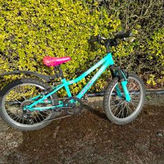 Apollo Zest Teal