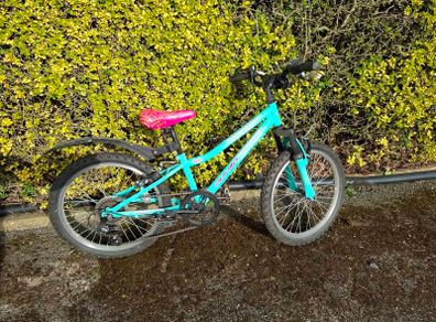 Apollo Zest Teal