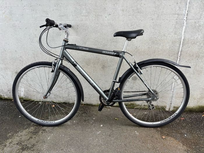 Euro trek men's hybrid bike