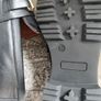 Ladies Shoes LOAFERS Image 5