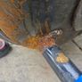 hot water cylinder Image 2