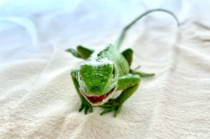Schleich animals