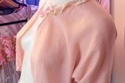 Vintage Lingerie Nightwear