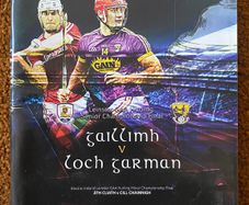 2017 Galway v Wexford - GAA Leinster Senior Hurling Final Programme