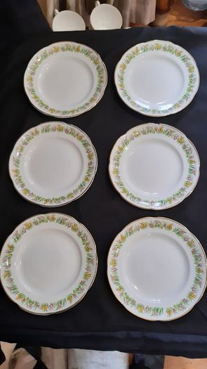 Regina/Royal Tara Tea Set 21 piece teaset