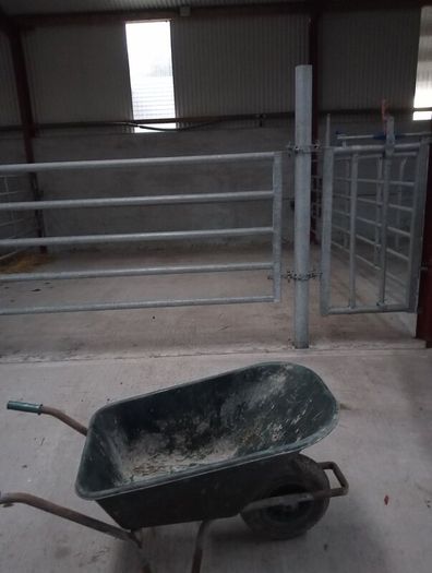 Calving gate