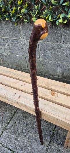 blackthorn walking stick