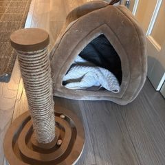 Free Cat Bed & Scratching Post