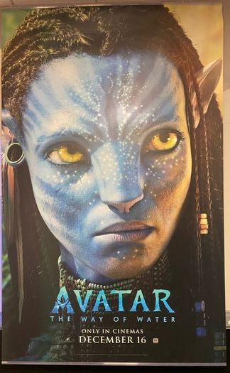 Avatar poster Size 245cm x 153cm