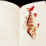 1964. The New ABC Of Fishing. Colin Willock. Image 7