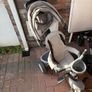 Q play toddler trike Image 5