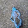 biovue Safety Goggles Image 3