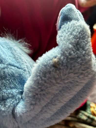 Stitch