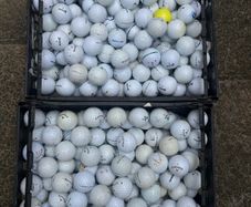 50 Top Brand Golf Balls