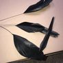 Black Fascinator Image 5