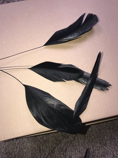 Black Fascinator