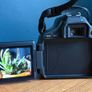 Canon Camera Image 3
