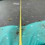 Trampoline 14ft/4.27m diameter Image 6