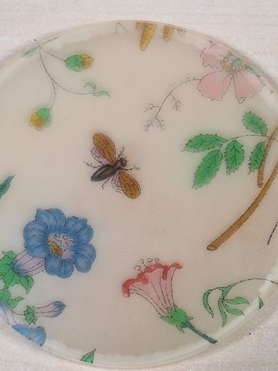 Vintage GUCCI coasters flora and fauna acrylic set of 4 Genuine Rare