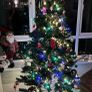 Christmas Tree 6 foot prelit Image 2