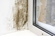 Anti Mould Paint Additive DCS3