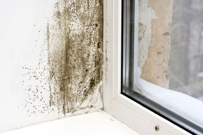 Anti Mould Paint Additive DCS3