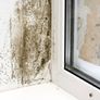 Insulating Paint Warmcoat-INSULATION Image 3