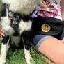 Buffalo pouch "Chodz na spacer wykopiemy jakies zwloki" NEW podcast true crime Image 2