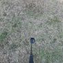 Callaway Rogue 3 wood 60g Stiff shaft Image 7