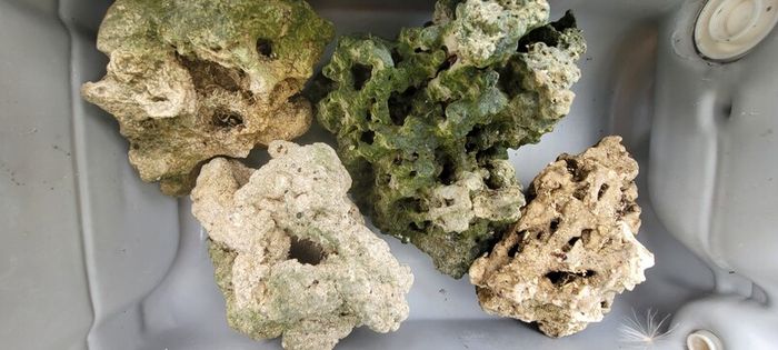 decorative rocks
