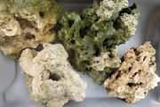 decorative rocks
