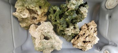 Rocks for fish tanks