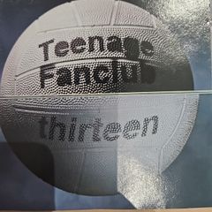 Teenage Fanclub - Thirteen.
