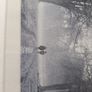 Photography. Image 5