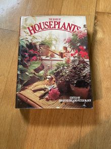 house plants