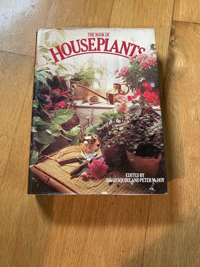 house plants