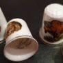 Collection of Assorted Bone China  Animal Themed Thimbles Image 5