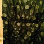 Beautiful black and gold Creton dress Image 2