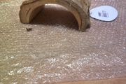 reptile hide