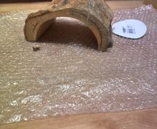 reptile hide