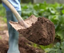 FREE garden soil