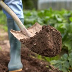 FREE garden soil