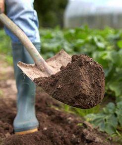 FREE garden soil