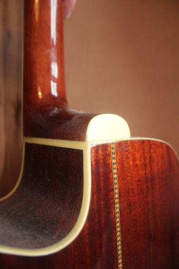 Washburn D10SCE Cutaway Acoustic Guitar
