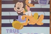 disney3 piece canvas set