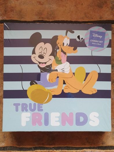 disney3 piece canvas set