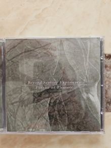 Beyond Sensory Experience CD - Pursuit Of Pleasure