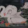 Vintage Fire Screen with Swans Embroidery inset behind glass. Image 6